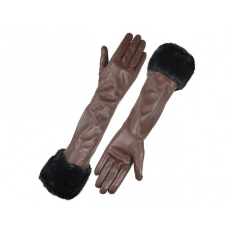 Dressing Gloves