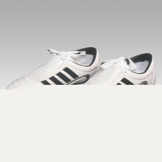 Tae Kwon Do Shoes