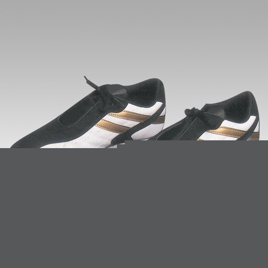 Tae Kwon Do Shoes